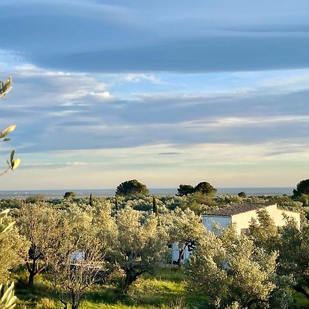 Can Mimosa Tortosa Eksteriør bilde