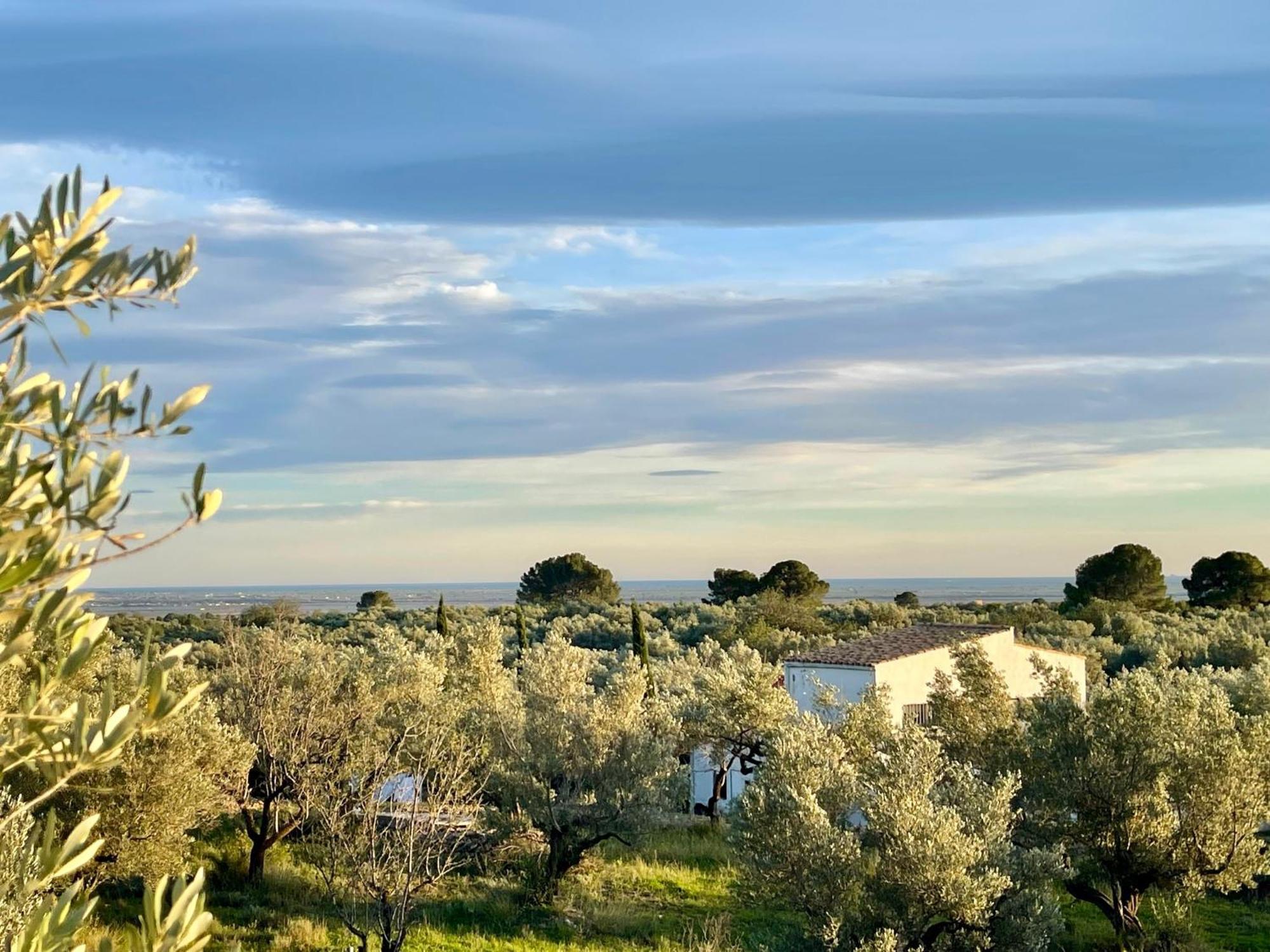 Can Mimosa Tortosa Eksteriør bilde